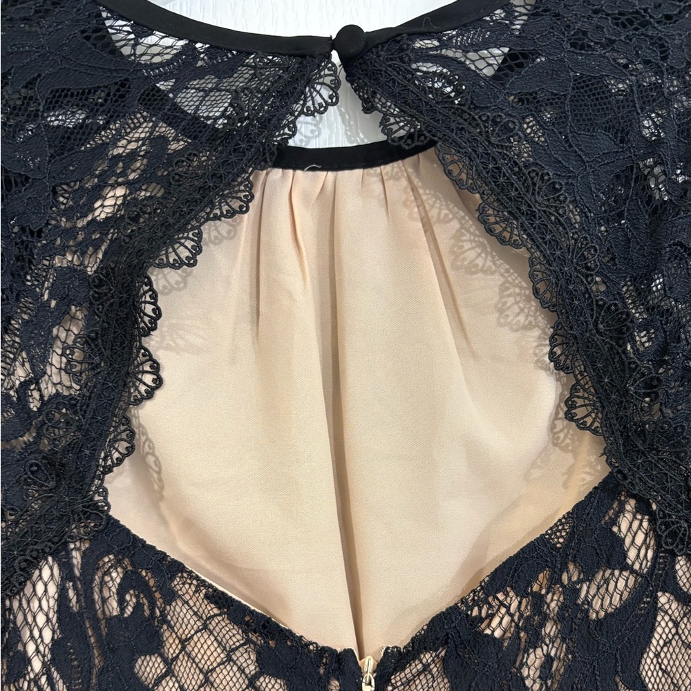 Foxiedox Black Lace, Embroidered Rose Peplum Dress - Picture 6 of 7
